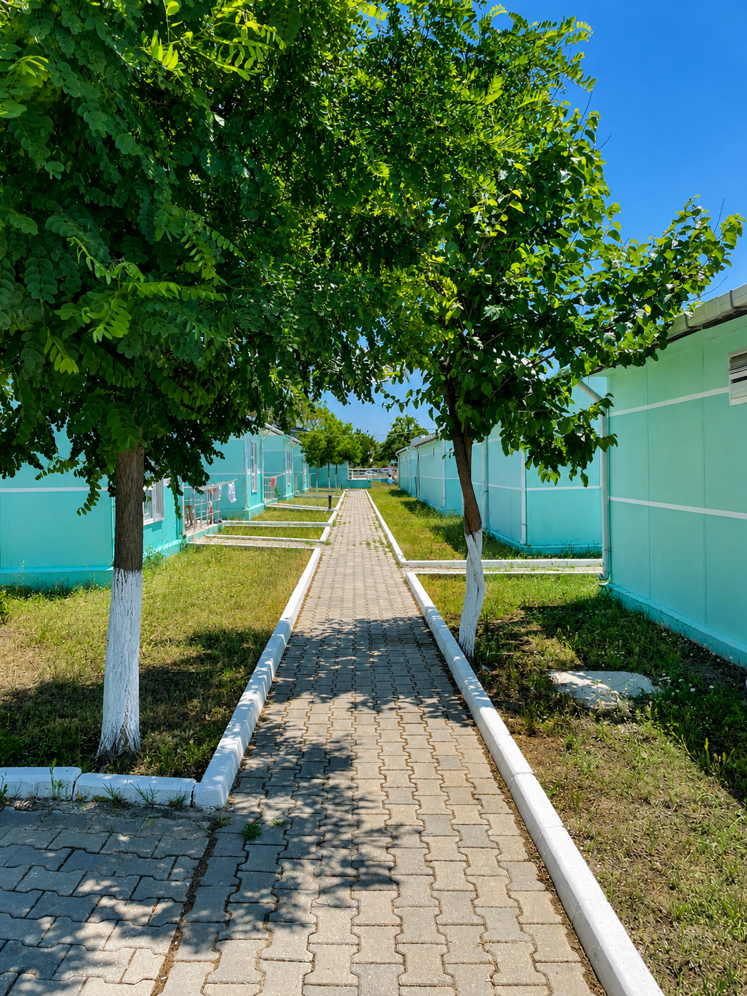Müstakil Evler